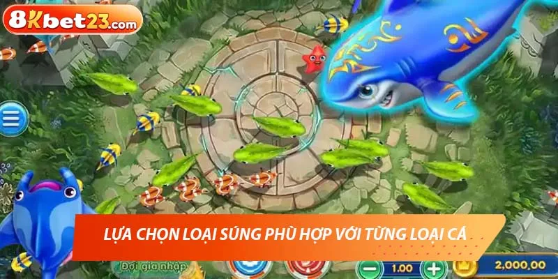 Lựa chọn những trang bị phù hợp khi chơi bắn cá 8KBET