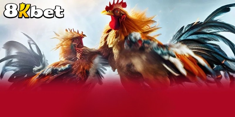 Game cá cược đá gà là gì?