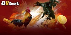 Game đá gà online 8KBET